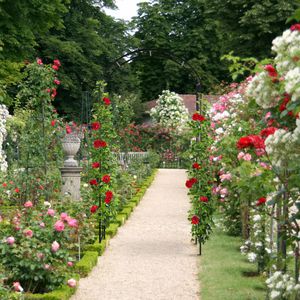 Produktbild für Rosenbogen Relaxdays 10041548, schwarz