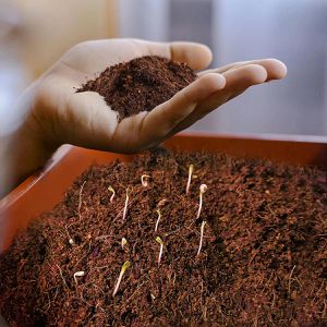 Produktbild für Blumenerde Casa-Pura fd-27305 Kokoserde