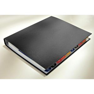 Produktbild für Ringbuch Leitz 4210-00-95, A4