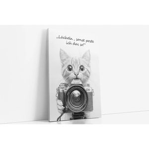 Produktbild für Wandbild Sinus-Art Lustiges Katzenbild