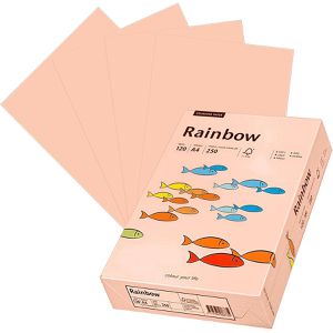 Kopierpapier Papyrus Rainbow 88042524