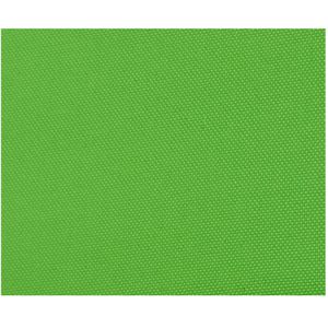 Produktbild für Greenscreen Celexon Mobile Lite Chroma Key