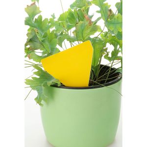 Produktbild für Gelbtafeln Protect Gelbfalle, 8 x 12,5 cm, zum Stecken