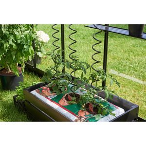 Produktbild für Gewächshaus-Set Juliana Startmix
