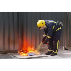 Produktbild für Feuerlöschspray AVD LithEX