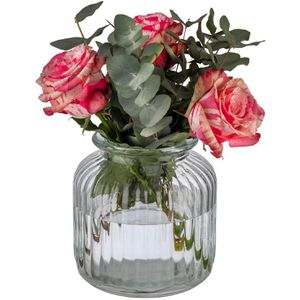 Produktbild für Vorratsglas APS Cookiego 82268, mit Glasdeckel