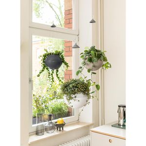 Produktbild für Blumenampel Lechuza BOLA Color 23 schiefergrau