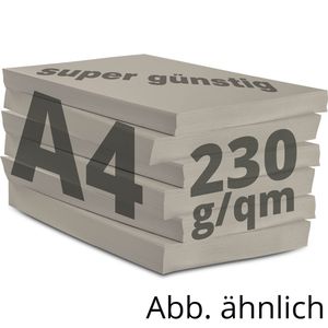 Produktbild für Kopierpapier Papyrus Rainbow 88376531