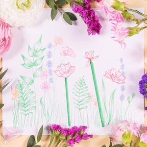 Produktbild für Buntstifte Staedtler 146 146 C12 PA, pastel