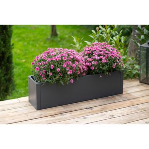 Produktbild für Pflanzkasten Westmann Talus M anthrazit