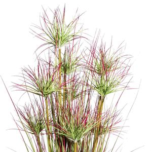 Produktbild für Kunstpflanze Creativ-green Zyperngrasbusch