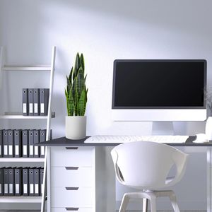 Produktbild für Kunstpflanze hJh-OFFICE Sansevieria