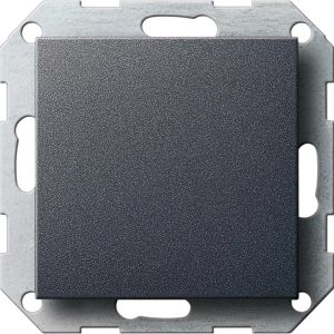 Produktbild für Zentralplatte Gira System 55 026828