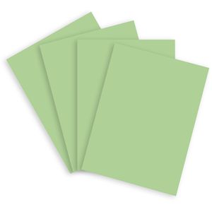 Produktbild für Kopierpapier Papyrus Rainbow 88042632