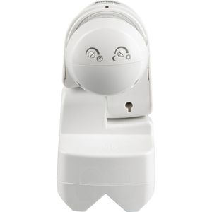 Produktbild für Bewegungsmelder Schneider-Electric Argus 120 PIR