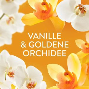 Produktbild für Wäscheparfüm Lenor Goldene Orchidee
