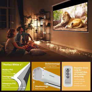 Produktbild für Beamer-Leinwand ESMART Economy EXM Motor