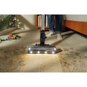 Produktbild für Staubsauger Bissell PowerClean FurFinder Pro, 4092N