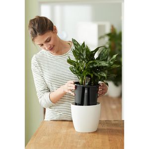 Produktbild für Erd-Bewässerungs-Set elho