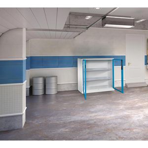 Produktbild für Werkzeugschrank CP-Möbel 8531-055, aus Metall, grau / blau