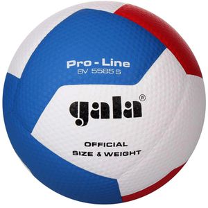 Volleyball gala-sport Pro-Line BV5585S
