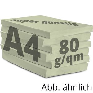 Produktbild für Kopierpapier Papyrus Rainbow 88042585