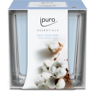 ipuro Duftkerzen Essentials cotton fields, im Glas, 125g