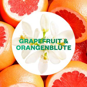 Airwick Raumduft Active Fresh Bad & Kleine Räume, mit Docht, 75ml,  Grapefruit & Orangenblüte – Böttcher AG