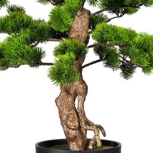 Produktbild für Kunstpflanze Creativ-green Bonsai Kiefer