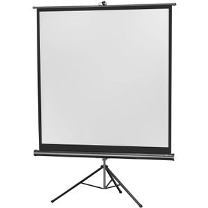 Beamer-Leinwand Celexon Economy