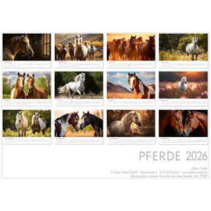 Produktbild für Bildkalender Edition-Seidel 27589, Pferde 2026