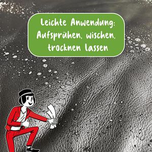 Produktbild für Lederreiniger Poliboy Spray