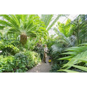 Produktbild für Drucksprüher Mesto Profi M, 5 Liter