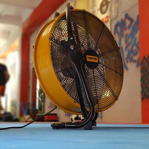 Produktbild für Industrieventilator Master DF 20, 100 Watt