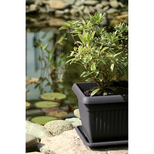 Produktbild für Pflanztopf Prosperplast Terra, 42 Liter