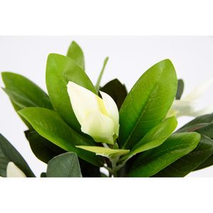 Produktbild für Kunstpflanze I.GE.A. Magnolie