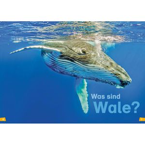 Produktbild für Spielbuch WAS-IST-WAS Erstes Lesen Band 1 - Wale und Delfine