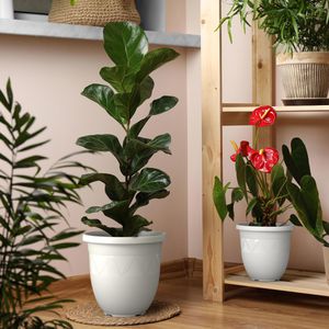 Produktbild für Pflanztopf Plastard Capri, 38 Liter