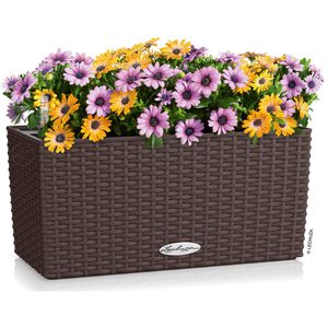 Produktbild für Blumenkasten Lechuza BALCONERA Cottage 40, mokka