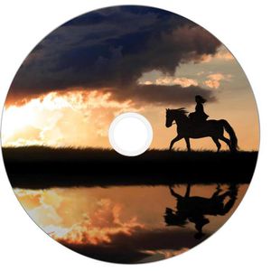 Produktbild für DVD-Rohlinge Verbatim 43667, bedruckbar, DVD+R