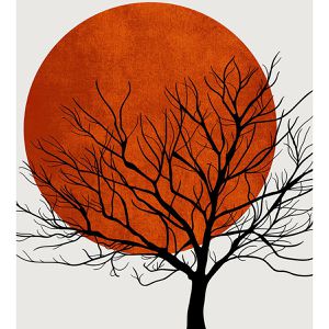 Produktbild für Wandbild AS-Creation Sonnenuntergang