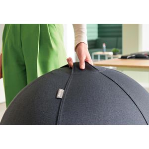 Produktbild für Sitzball Leitz Ergo Active, Anti-Wegroll-Funktion, bis 150 kg