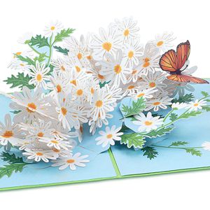 Produktbild für Grußkarten papercrush 3D Gänseblümchen