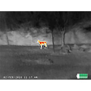 Produktbild für Wärmebildkamera FLIR Scout 7TM-02-F110, TKx, App-fähig