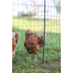 Produktbild für Weidezaunnetz AKO PoultryNet Premium 292413, Geflügelnetz