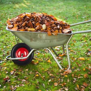 Produktbild für Schubkarrenrad Relaxdays 4.80/4.00-8, pannensicher Vollgummi