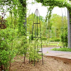 Produktbild für Rankgitter Relaxdays 10012492, grün, freistehend