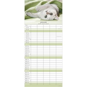 Produktbild für Familienplaner Alpha 117001, Kätzchen, Jahr 2027