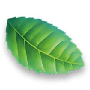 Produktbild für WC-Reiniger WC-Ente Total Aktiv Mint Melody, Gel