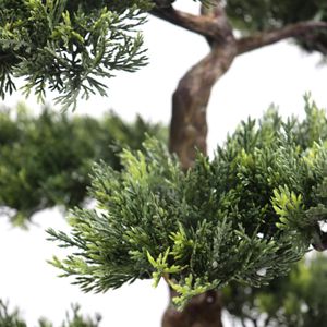 Produktbild für Kunstpflanze hJh-OFFICE Bonsai